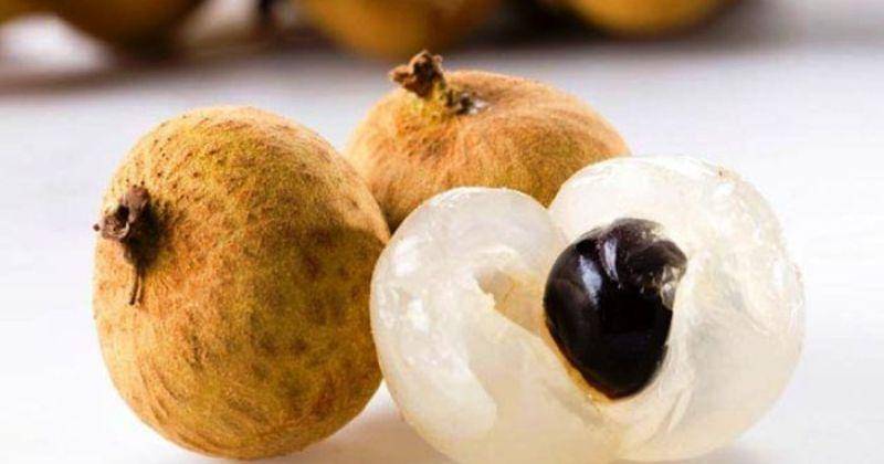 Pinterest.com/daniela